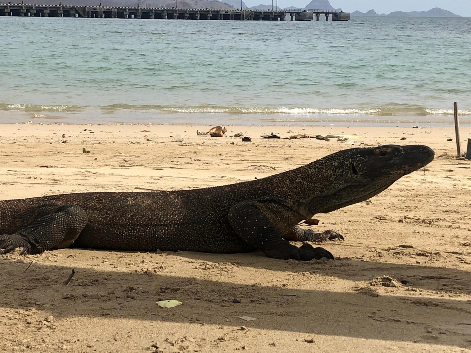 Dua Putri Komodo Homestay Kültér fotó
