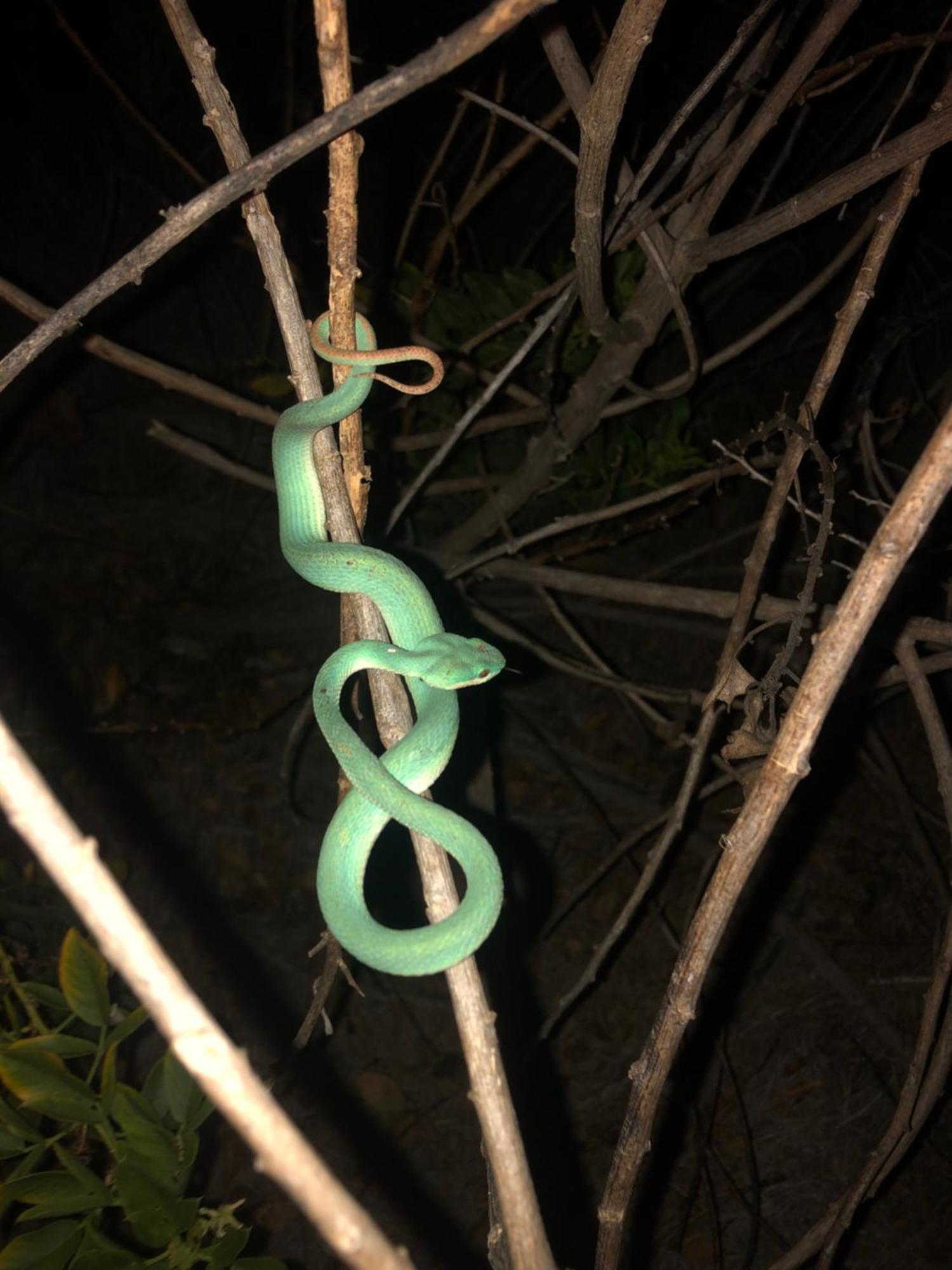 Dua Putri Komodo Homestay Kültér fotó